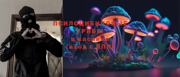 дживик Аркадак