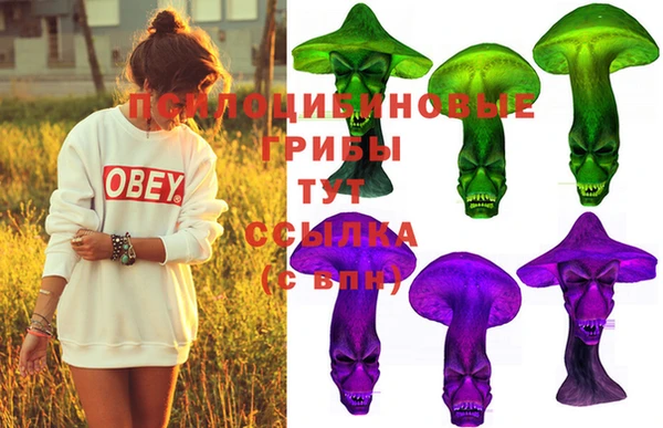 МДМА Арсеньев