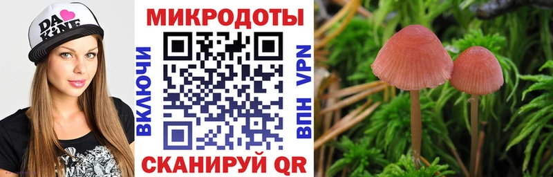 закладки  kraken tor  Псилоцибиновые грибы Psilocybine cubensis  Солигалич 